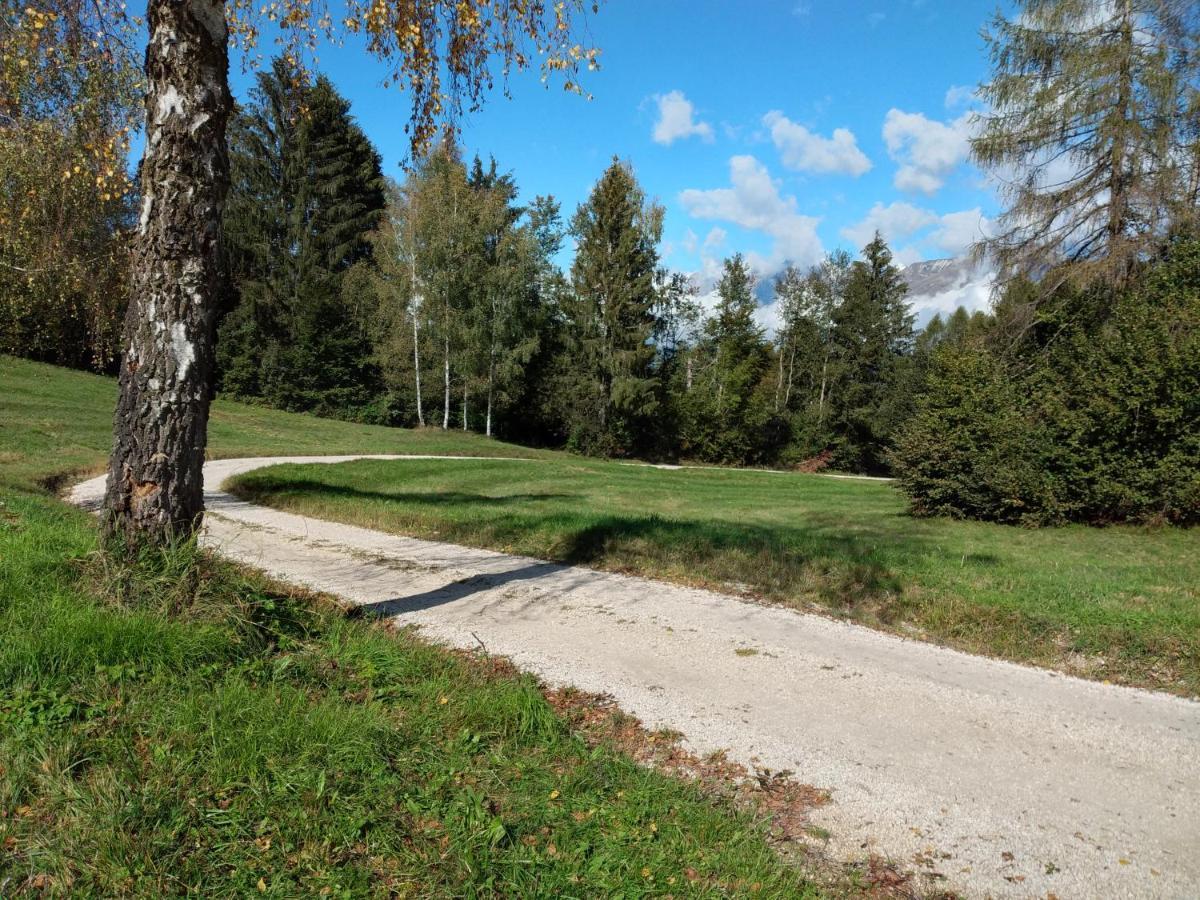 Вилла Al Salt Беллуно Экстерьер фото